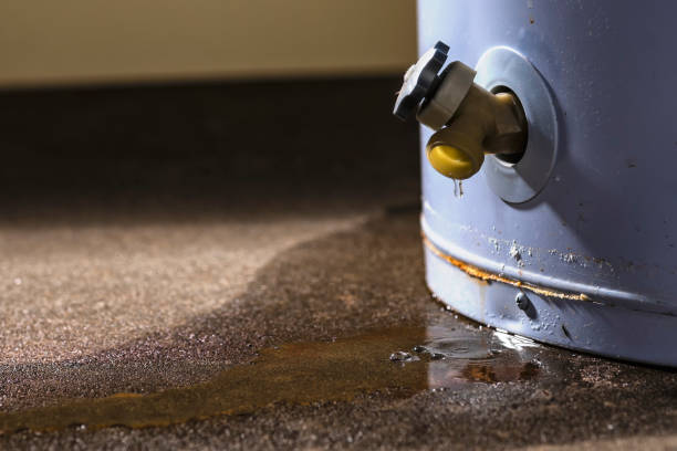 Best Fire Damage Restoration  in Carlin, NV