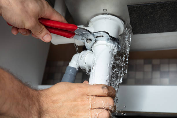 Best Local water damage restoration  in Carlin, NV