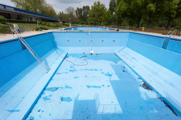 Best Basement water damage restoration  in Carlin, NV