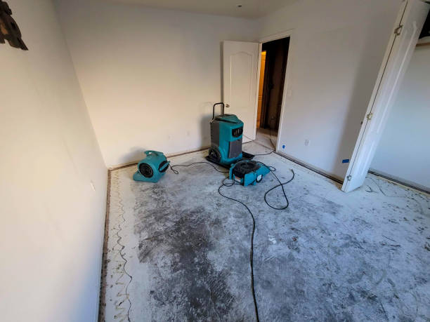 Best Emergency water damage restoration  in Carlin, NV