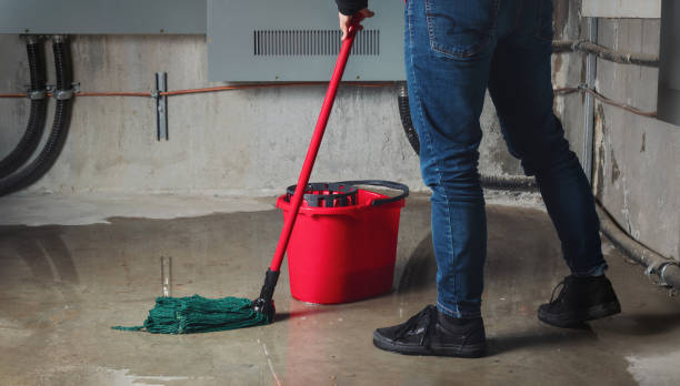 Best Water damage contractors near me  in Carlin, NV