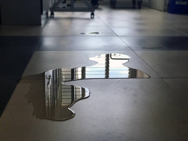 Best Water damage restoration process  in Carlin, NV