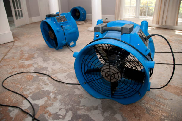 Best Water damage restoration experts  in Carlin, NV