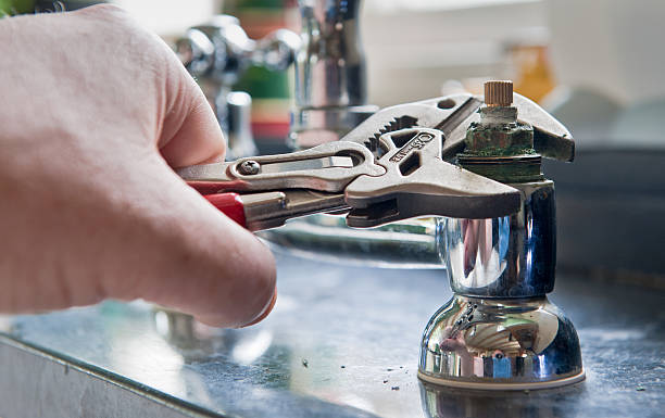 Best Water damage cleanup near me  in Carlin, NV