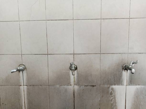 Best Carpet water damage restoration  in Carlin, NV