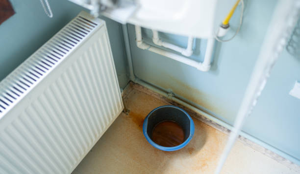 Best Sewage cleanup and water damage restoration  in Carlin, NV