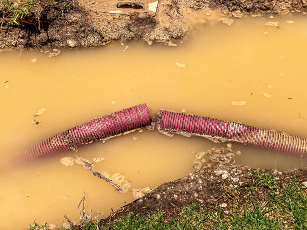 , NV Water damage restoration Company